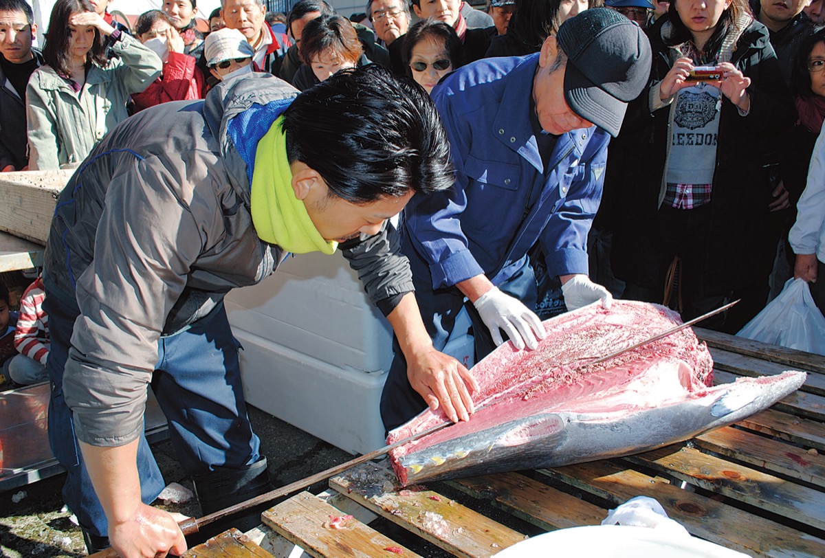 魚河岸グルメを堪能