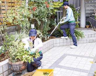 きれいな庭を手に入れよう