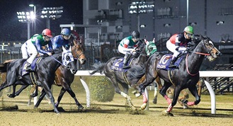 全日本２歳優駿＝神奈川県川崎競馬組合提供