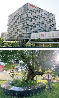 （上）スマートコミュニティセンター（下）ベンチに東芝の歴史が刻まれた桜の木