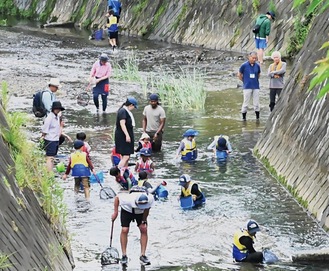 生き物調査をする参加者＝同会提供