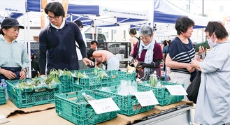 賑わいを見せた会場