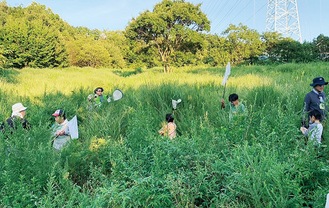 バッタ探しに夢中な児童ら