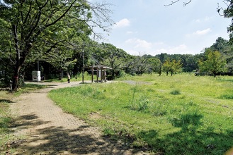 散歩コースの目的地の一つ、菅生緑地