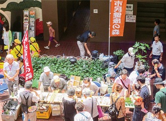 市民健康の森だより