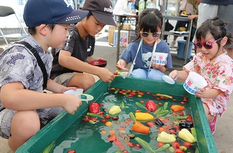 ミニトマトすくいを楽しむ子どもたち