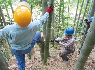 市民健康の森だより