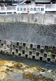 上部に設置された看板