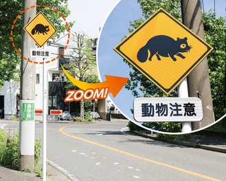 写真【1】 川崎市が今年２月に設置した標識（麻生区虹ヶ丘）