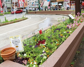 色鮮やかな花壇と花がらを入れるポット（左）＝７月１日撮影