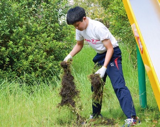 雑草を抜く生徒