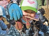 大きな芋に驚きと笑顔