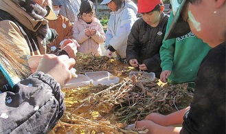 手作業で大豆を取り出す児童＝カジノヤ提供