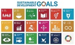 横に表示されている数字のアイコンは、SDGsの17の目標のうち、同企業の取り組みに該当する項目を一部掲載したものです