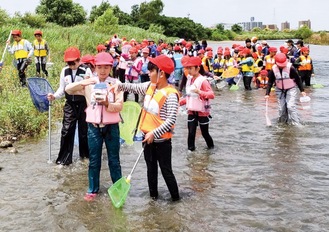 川に入り生き物と触れ合う児童