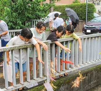 七夕飾りを流す子どもたち＝提供