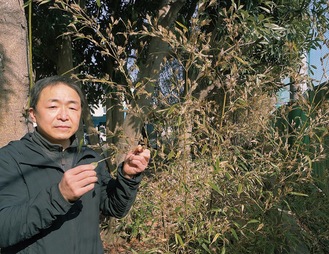 竹の花を持つ赤塚教諭