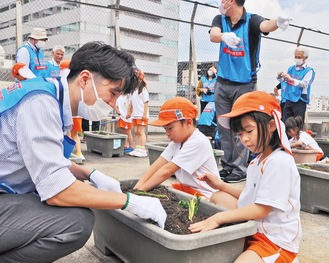 サツマイモの苗を植える園児と社員