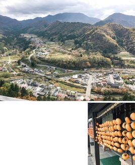 関川村上空写真（上）と村内の干し柿