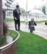 全国初、歩道橋に芝生