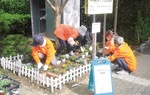 10月に行われた緑化活動