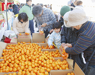 みかんの詰め放題販売など様々なブースが設けられた