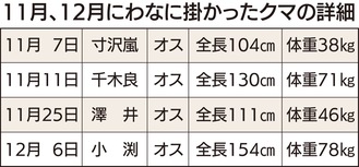 市内でもクマ多数出没