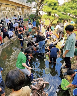 池に住む生き物の救出を行う児童ら