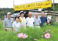 コスモス開花は遅め