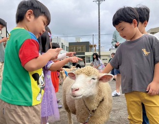 移動動物園を楽しむ子どもたち（写真は中央６地区まちづくりセンター提供）