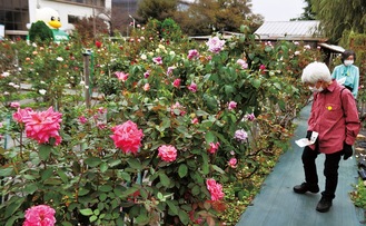 芳醇な香りに感嘆の声