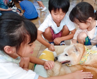 堀内さんから教わった合言葉を守りながら犬と触れ合う児童