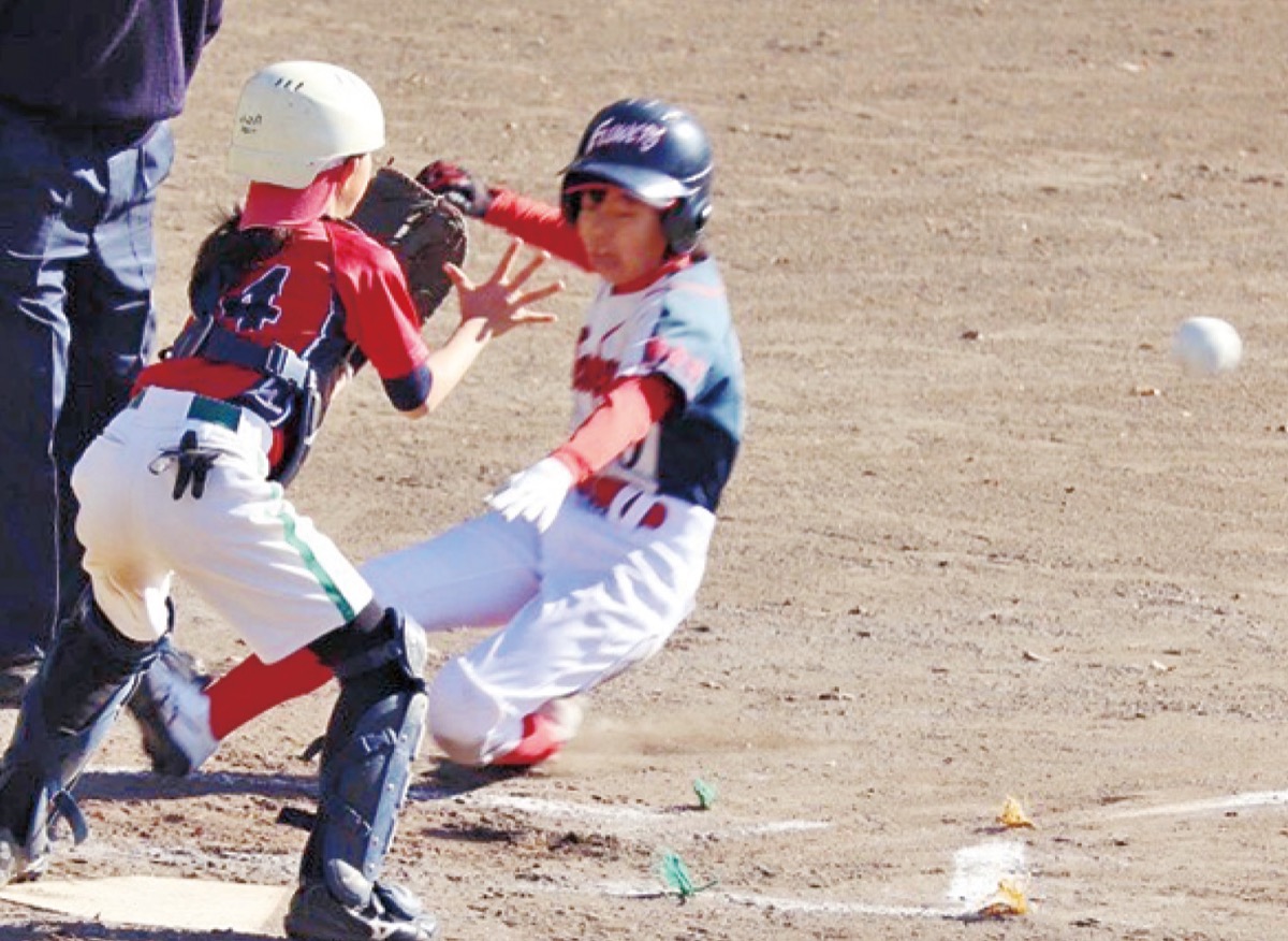 相模原フラワーズが優勝 女子ソフトボール大会で さがみはら中央区 タウンニュース