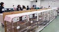 ｢多頭飼育｣届出を義務化