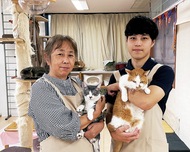 保護猫シェルター 存続の危機