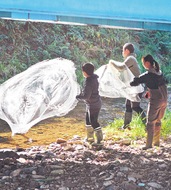 串川で投網体験