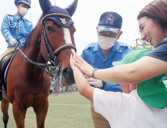 恐々と馬に触れる園児ら