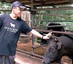 萩生田さんと牧場で飼育される牛