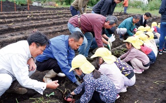 園児を手助けしながら収穫を行う会員ら