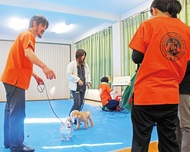 新たな学校飼育 模索