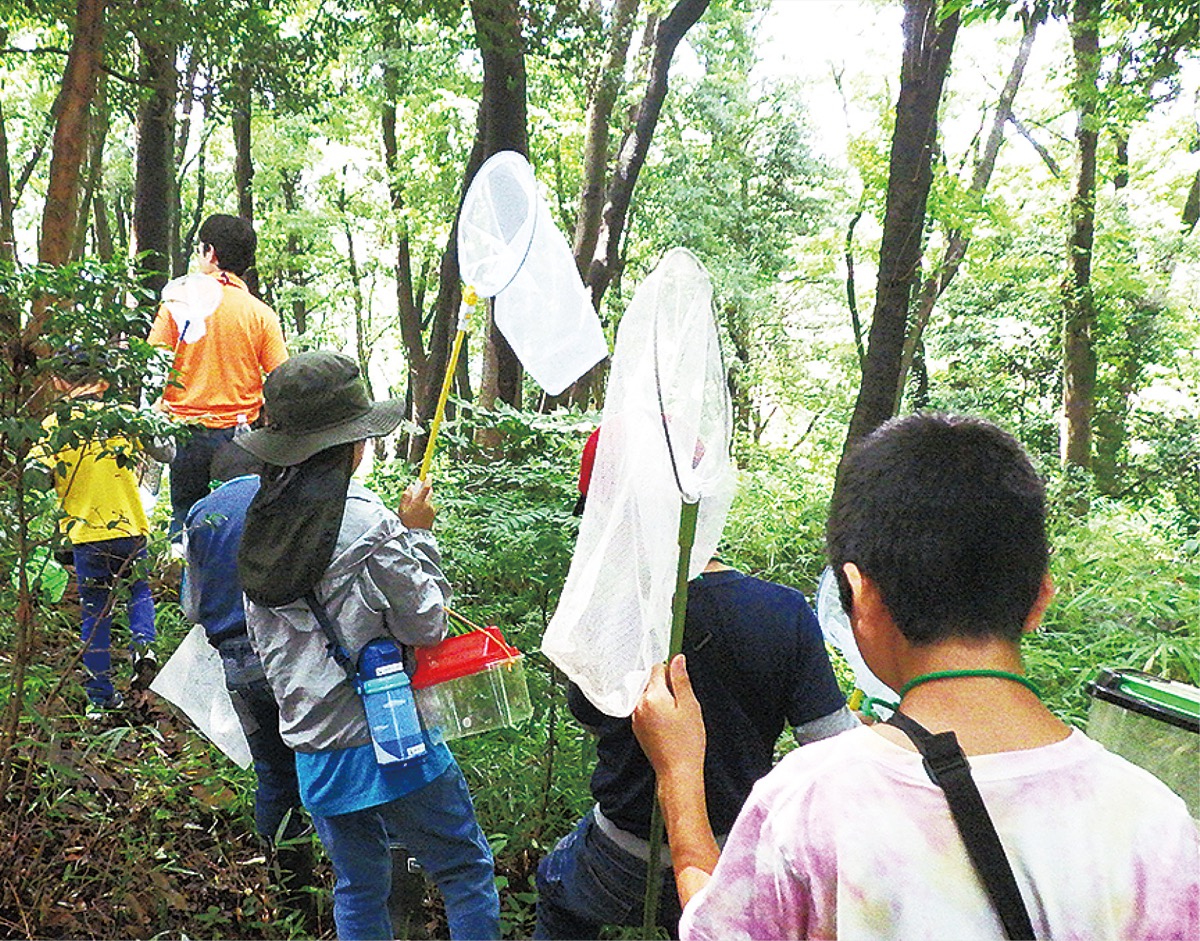 町田市創造キャンパスひなた村 夏のイベント盛り沢山 町田 タウンニュース