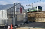 横浜線の線路沿いに建てられたビニールハウス