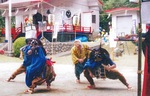 田守神社の獅子舞