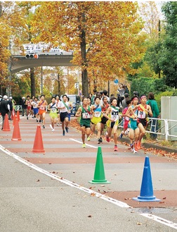 中学生ランナーが秋空の下を走り抜ける