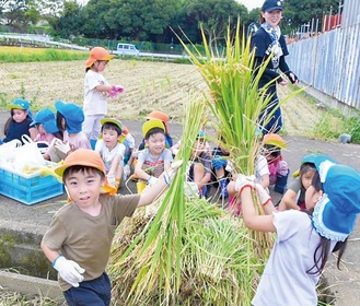 誇らしげに稲を持ち上げる子どもたち