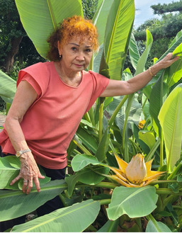 開花した地湧金蓮とみえ子さん