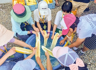 野菜の種取り体験の様子