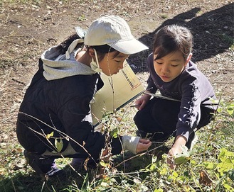 植物を探す子どもたち