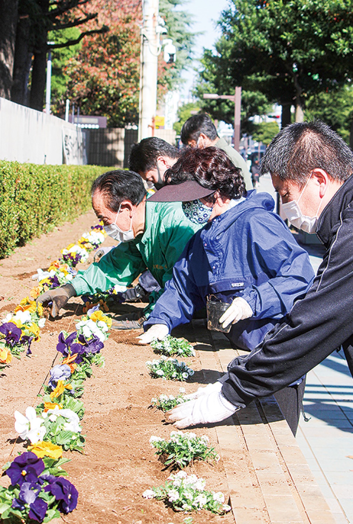 運転中 見とれちゃダメ 有志集まり 花植え替え 大和 タウンニュース