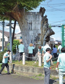 作業に汗を流す同クラブメンバー